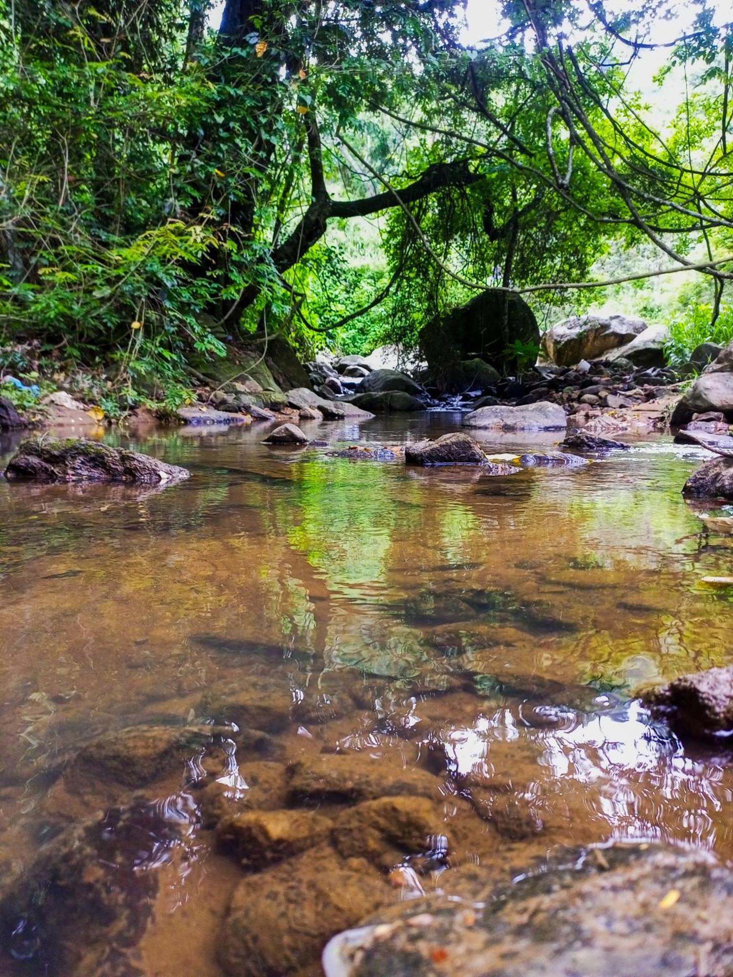 לינה וארוחת בוקר אלה Creek Downhills מראה חיצוני תמונה