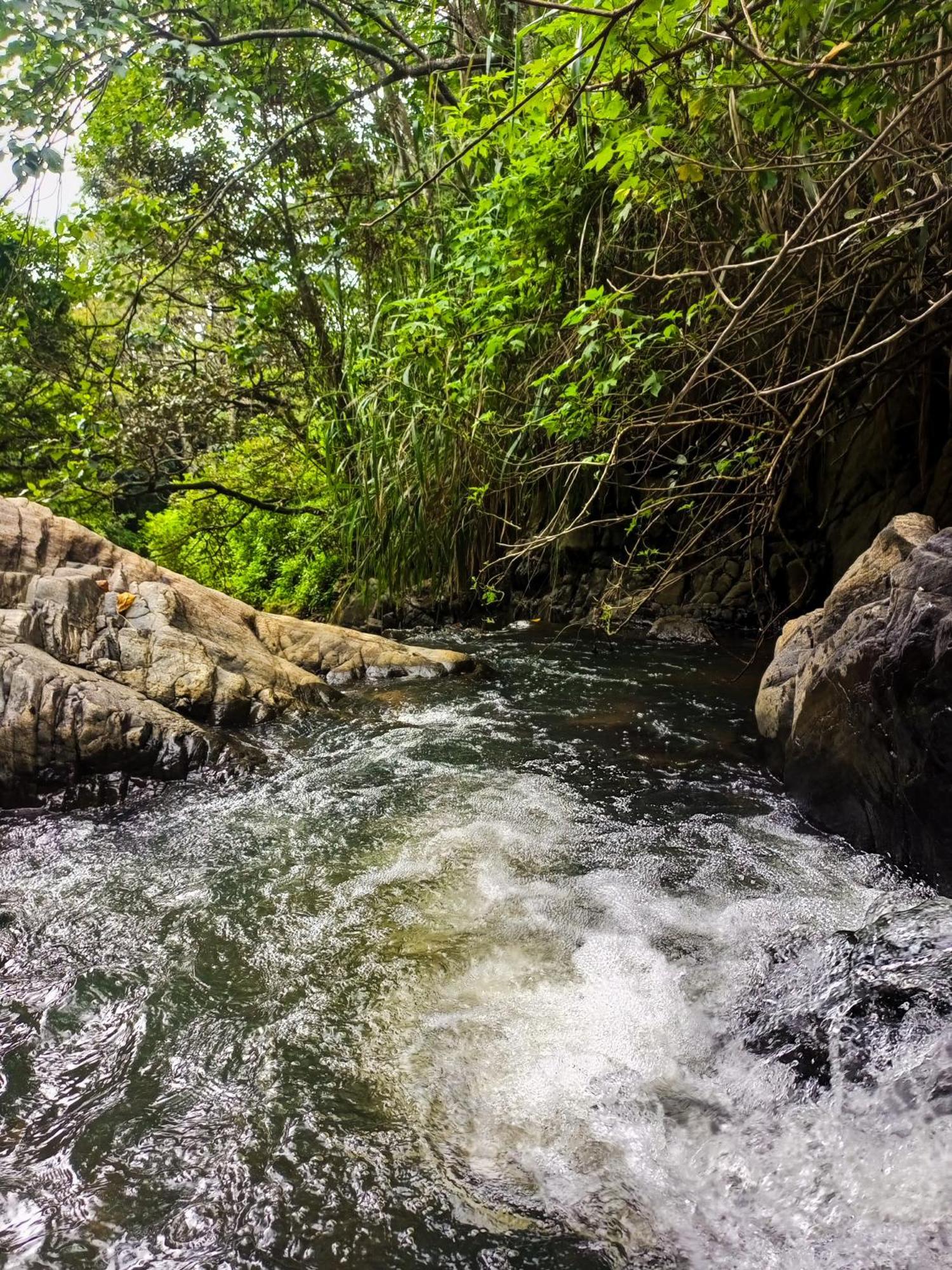 לינה וארוחת בוקר אלה Creek Downhills מראה חיצוני תמונה