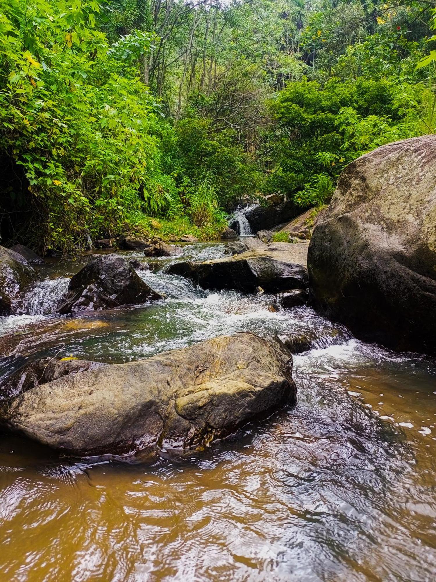 לינה וארוחת בוקר אלה Creek Downhills מראה חיצוני תמונה