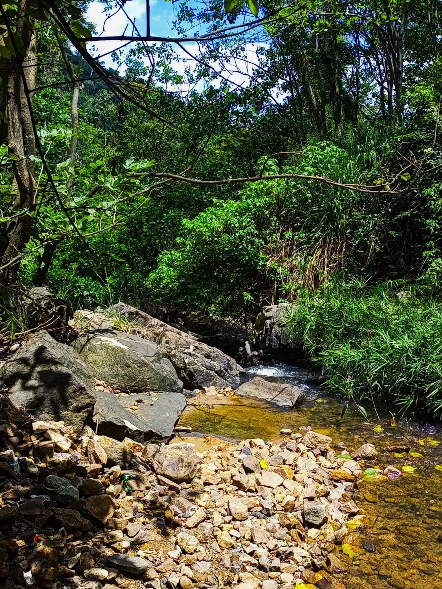 לינה וארוחת בוקר אלה Creek Downhills מראה חיצוני תמונה