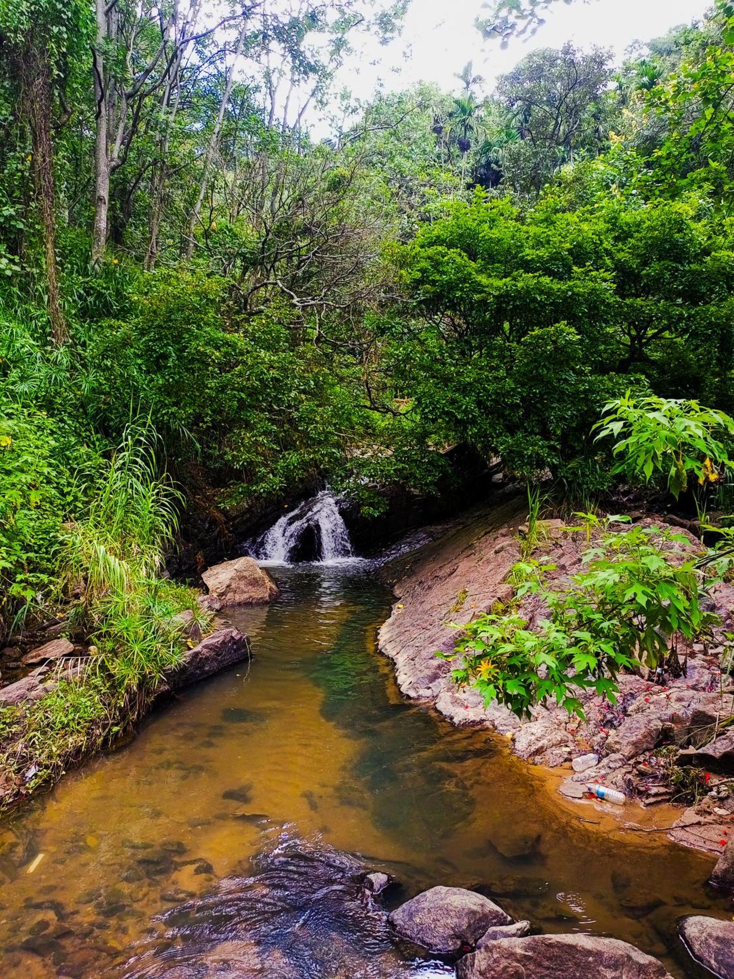 לינה וארוחת בוקר אלה Creek Downhills מראה חיצוני תמונה