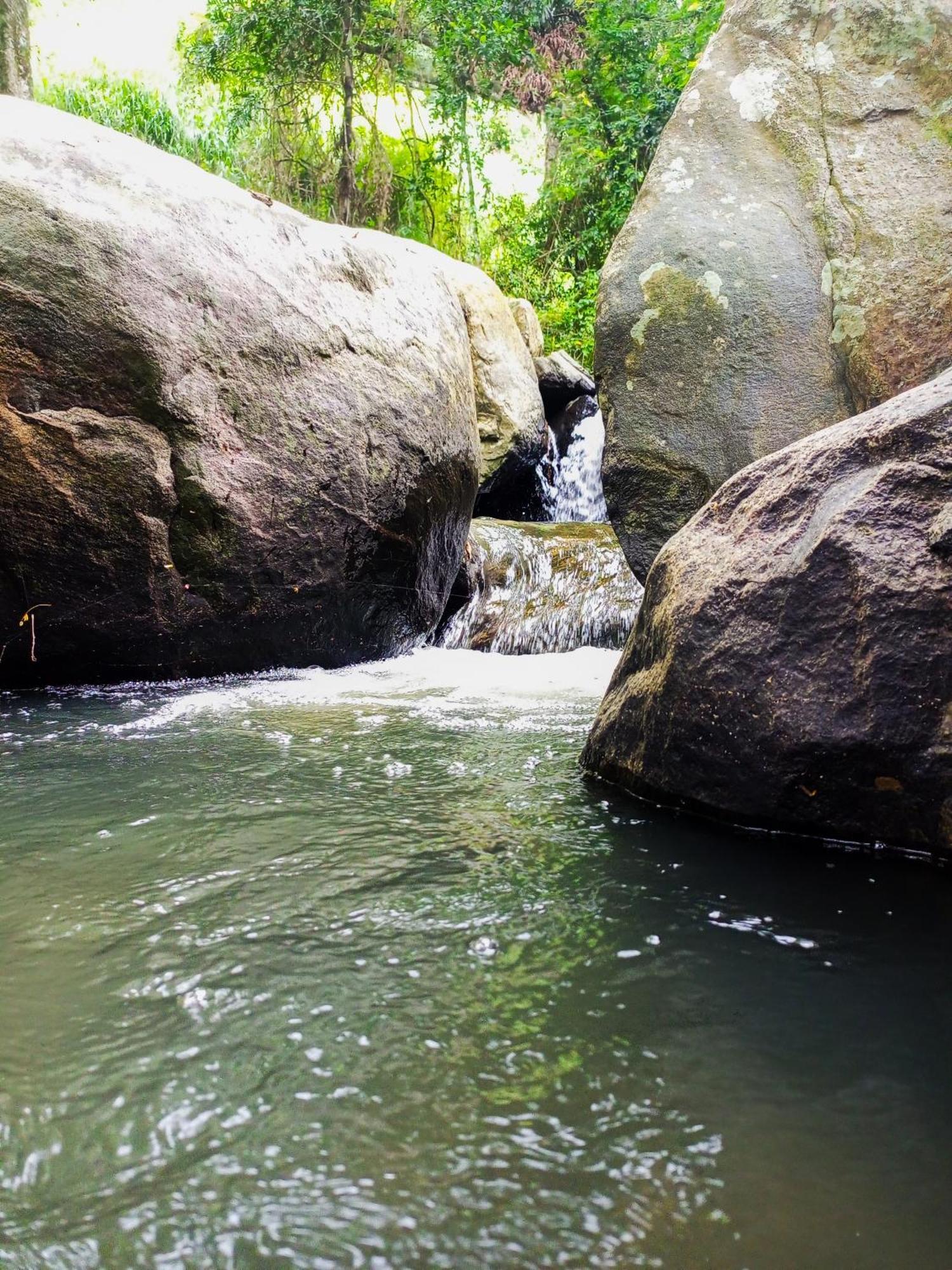 לינה וארוחת בוקר אלה Creek Downhills מראה חיצוני תמונה